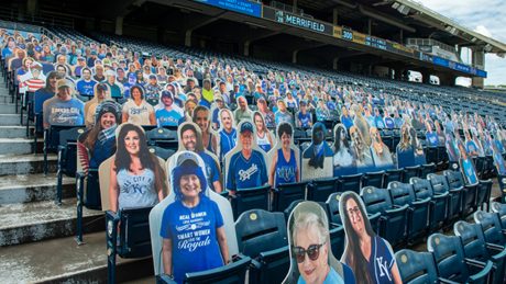 Attend the Virtual Reunion in 2D when you donate today.
