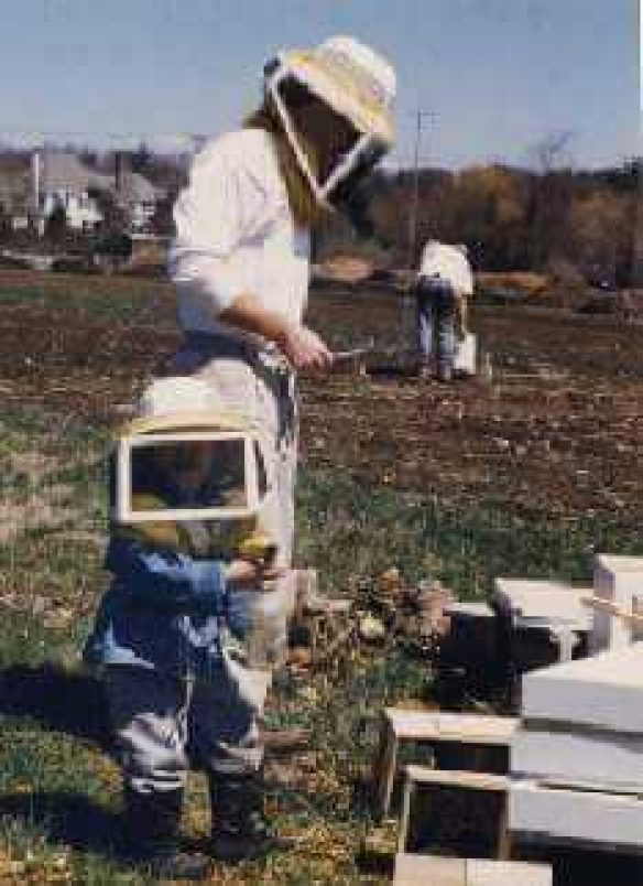 Beekeeping is a family tradition Beekeeping is a family tradition