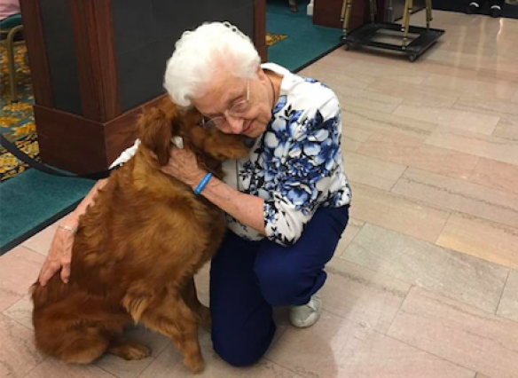 Shelby, Masonic Pathways therapy dog Shelby, Masonic Pathways therapy dog